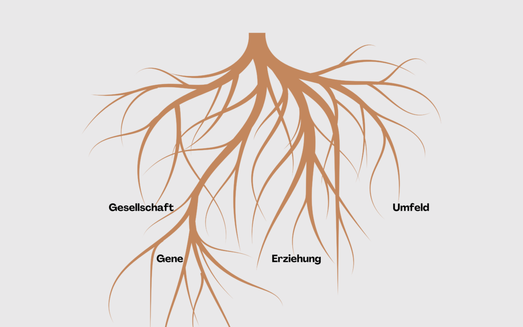 Wie entsteht Perfektionismus?